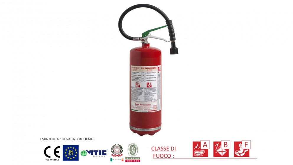 EStintore a schiuma da 6 litri