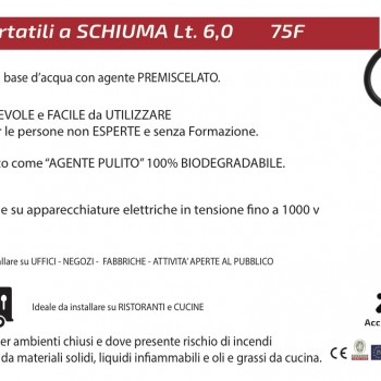 ESTINTORE SCHIUMA DA 6,0 LT. 75F